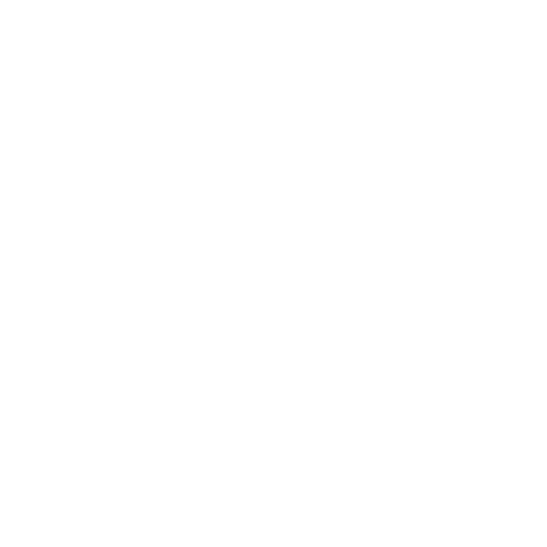 Ingeniería especializada